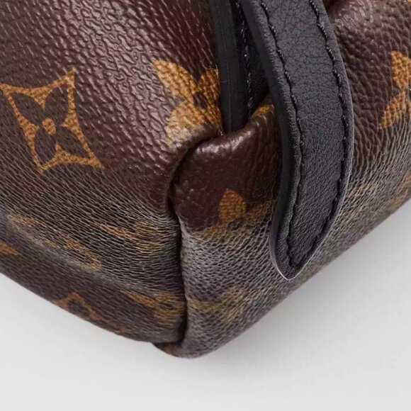 Louis Vuitton Monogram Canvas Palm Springs PM Backpack Bag - Picture 5 of 12